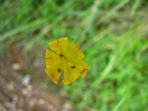 Fotografia de Aram Isa� - Galeria Fotografica: Naturaleza - Foto: 