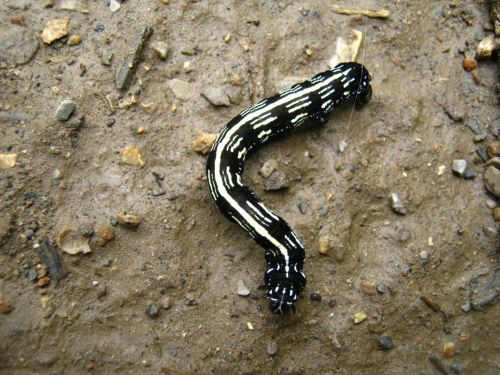 Fotografia de Aram Isa� - Galeria Fotografica: Naturaleza - Foto: 