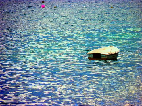 Fotografia de Charo Guijarro Izquierdo - Galeria Fotografica: MIRAR PARA ARRIBA - Foto: 