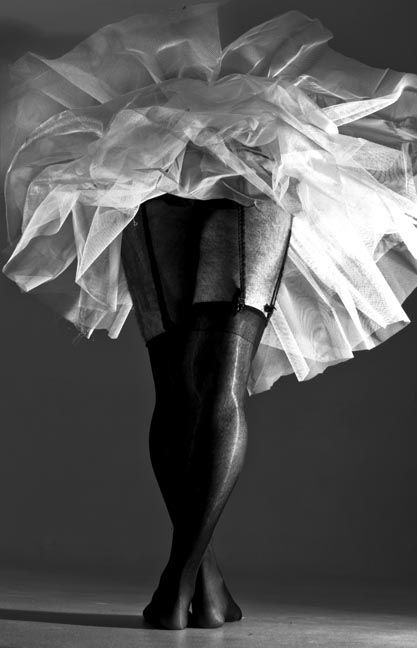 Fotografia de aleck - Galeria Fotografica: Portafolio - Foto: 