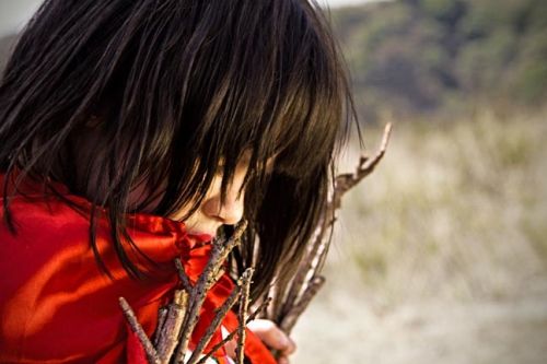 Fotografia de aleck - Galeria Fotografica: Portafolio - Foto: 