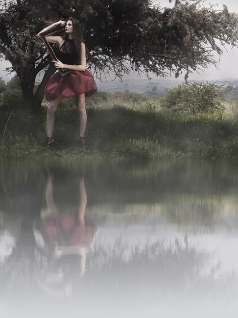 Fotografia de aleck - Galeria Fotografica: Portafolio - Foto: 