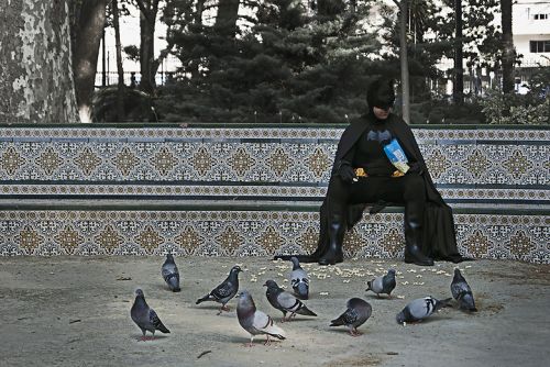 Fotografia de Davile Cantos - Galeria Fotografica: El Dia del Heroe - Foto: El Dia del Heroe