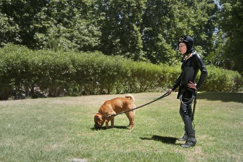 Fotografia de Davile Cantos - Galeria Fotografica: El Dia del Heroe - Foto: El Dia del Heroe