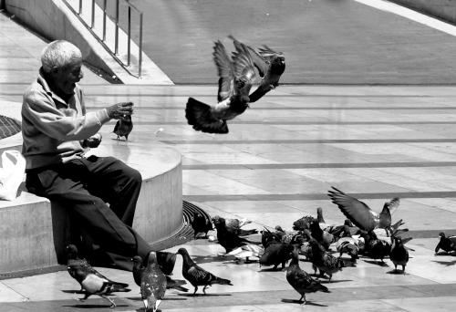 Fotografia de Alvaro Martin - Galeria Fotografica: Las Ciudades y sus Gentes - Foto: Feliz