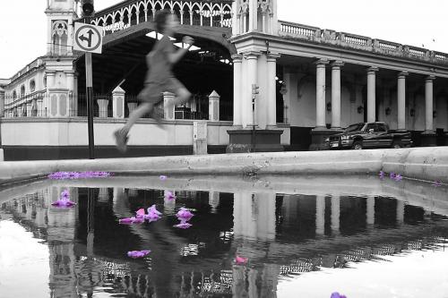 Fotografia de Vanessa Tio-Groset - Galeria Fotografica: percepciones en colores - Foto: reflejos de la naturaleza