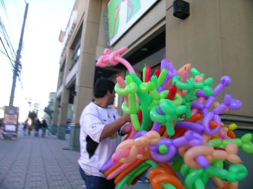 Fotografia de  - Galeria Fotografica: Curic� - Foto: Fantas�a