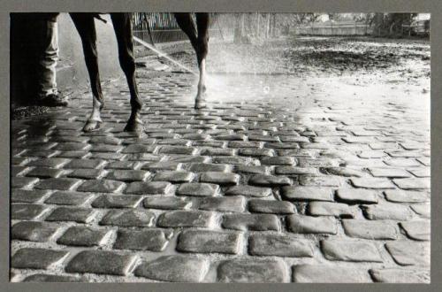 Fotografia de  - Galeria Fotografica: 