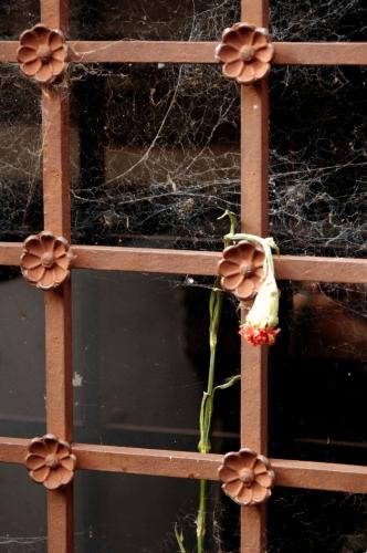 Fotografia de Aldo Pranzetti - Galeria Fotografica: desde mi mundo - Foto: lo que queda