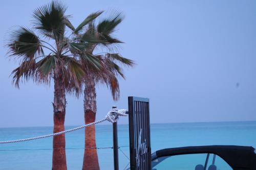 Fotografia de Aldo Pranzetti - Galeria Fotografica: desde mi mundo - Foto: postal