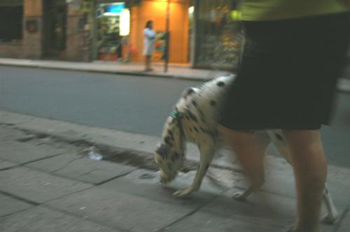 Fotografia de Aldo Pranzetti - Galeria Fotografica: desde mi mundo - Foto: tirando voy