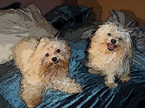 Fotografia de sofi - Galeria Fotografica: mis fotos - Foto: ...