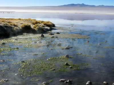 Fotografia de camilo perdomo - Galeria Fotografica: suramerica - Foto: tierra boliviana