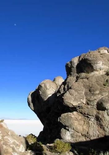 Fotografia de camilo perdomo - Galeria Fotografica: ms suramerica - Foto: isla incahuasi (salar de uyuni)