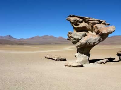 Fotografia de camilo perdomo - Galeria Fotografica: ms suramerica - Foto: arbol de piedra