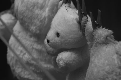 Fotografia de atikus - Galeria Fotografica: Campture - Foto: 