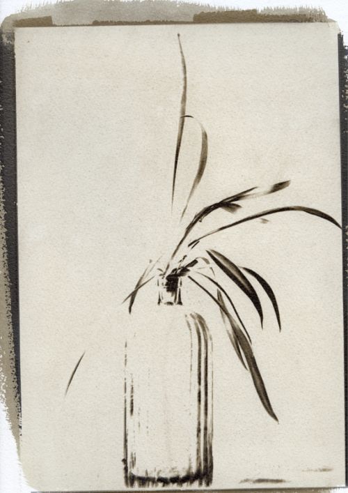 Fotografia de Daniel G. Bruno - Galeria Fotografica: Goma Bicromatada - Foto: Botella