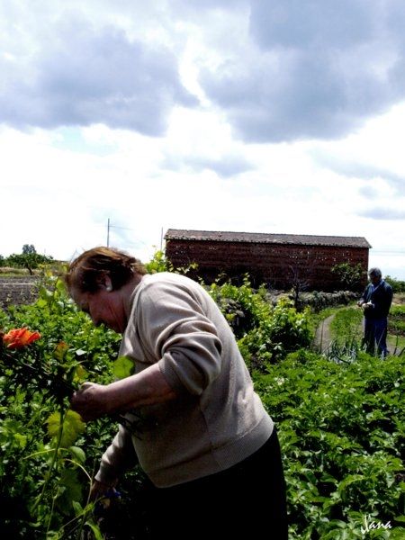 Fotografia de Lizardbly - Galeria Fotografica: A la vera I - Foto: 