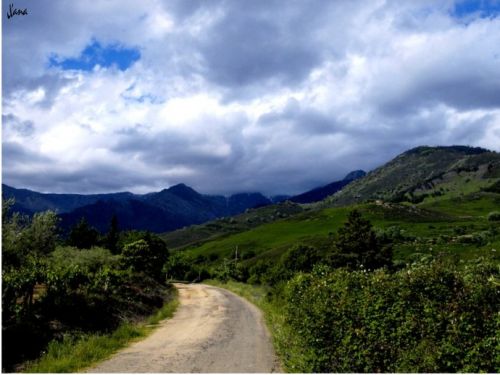 Fotografia de Lizardbly - Galeria Fotografica: A la vera I - Foto: 