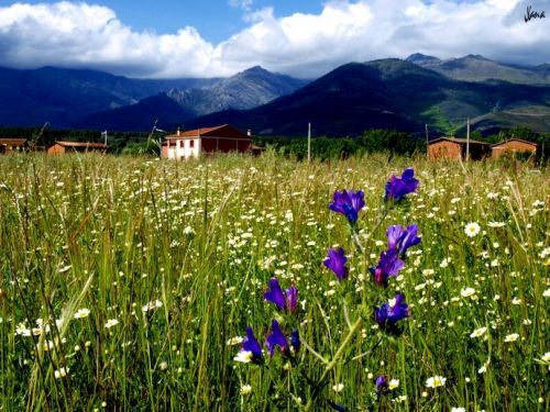 Fotografia de Lizardbly - Galeria Fotografica: A la vera I - Foto: 