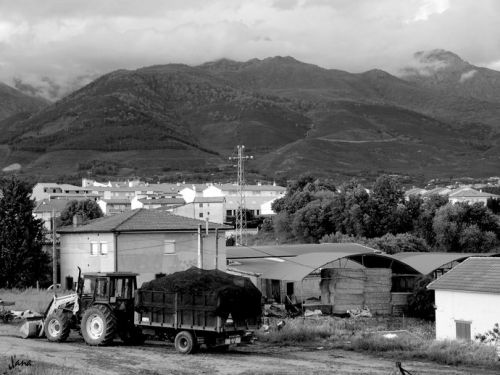 Fotografia de Lizardbly - Galeria Fotografica: A la vera I - Foto: 