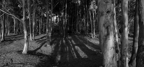 Fotografia de cpgphoto - Galeria Fotografica: Pequea seleccin - Foto: 