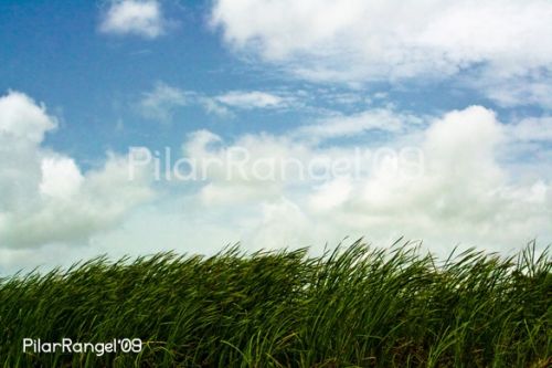 Fotografia de PilarRangel Fotografia - Galeria Fotografica: Urbanismo + Paisajes - Foto: 