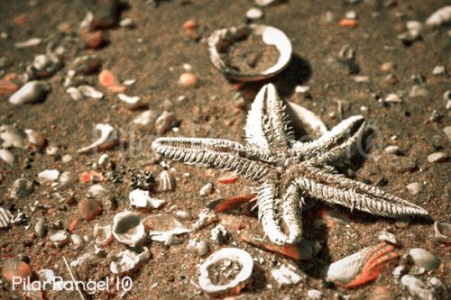 Fotografia de PilarRangel Fotografia - Galeria Fotografica: Urbanismo + Paisajes - Foto: 