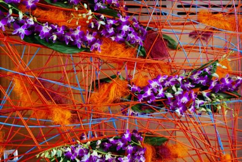 Fotografia de PEDRO GANDA - Galeria Fotografica: FLOWERS - Foto: 