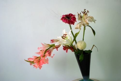 Fotografia de PEDRO GANDA - Galeria Fotografica: FLOWERS - Foto: 