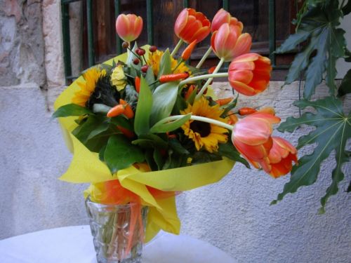 Fotografia de PEDRO GANDA - Galeria Fotografica: FLOWERS - Foto: 