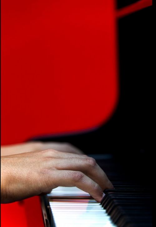 Fotografia de Framugal - Galeria Fotografica: Msicos - Foto: 