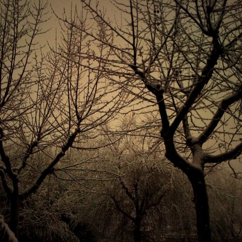 Fotografia de darkzone - Galeria Fotografica: retratos de msicos - Foto: 