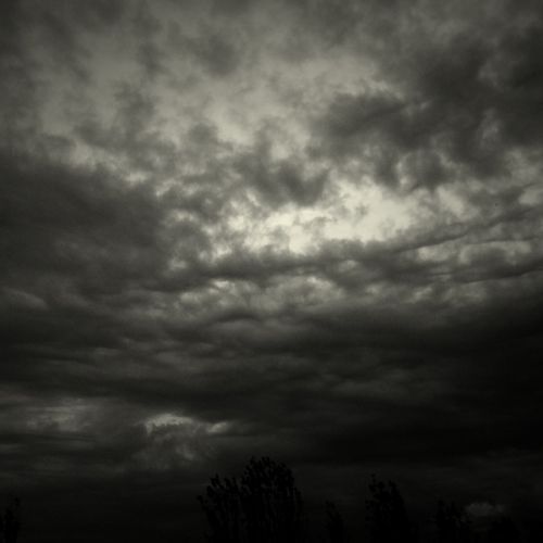 Fotografia de darkzone - Galeria Fotografica: retratos de msicos - Foto: 