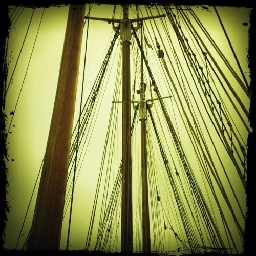 Fotografia de darkzone - Galeria Fotografica: retratos de msicos - Foto: 