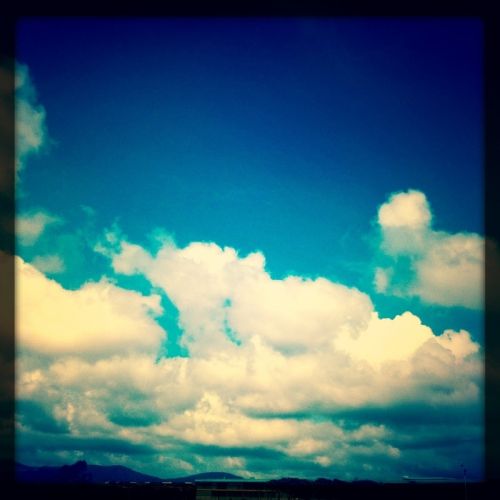 Fotografia de darkzone - Galeria Fotografica: retratos de msicos - Foto: 