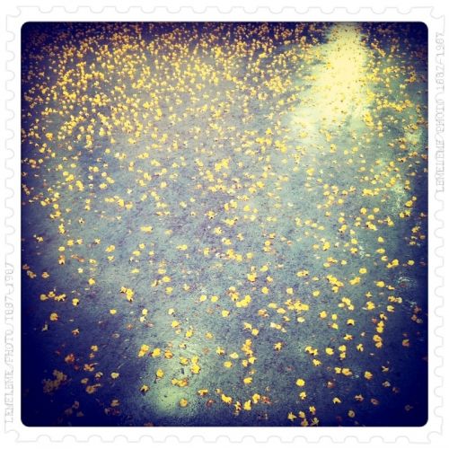 Fotografia de darkzone - Galeria Fotografica: retratos de msicos - Foto: 