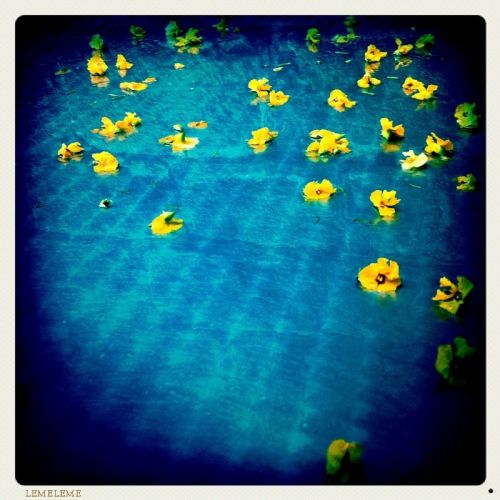 Fotografia de darkzone - Galeria Fotografica: retratos de msicos - Foto: 