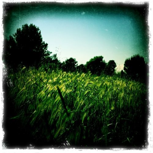 Fotografia de darkzone - Galeria Fotografica: retratos de msicos - Foto: 