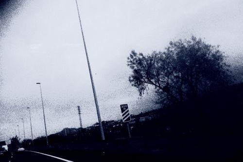 Fotografia de darkzone - Galeria Fotografica: retratos de msicos - Foto: 