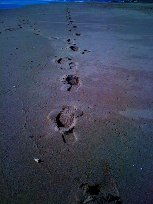 Fotografia de darkzone - Galeria Fotografica: retratos de msicos - Foto: 