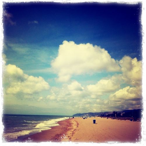 Fotografia de darkzone - Galeria Fotografica: retratos de msicos - Foto: 