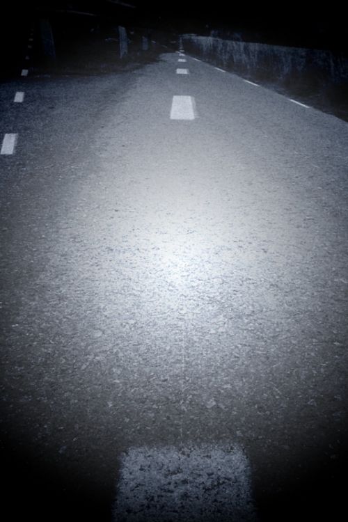 Fotografia de darkzone - Galeria Fotografica: retratos de msicos - Foto: 