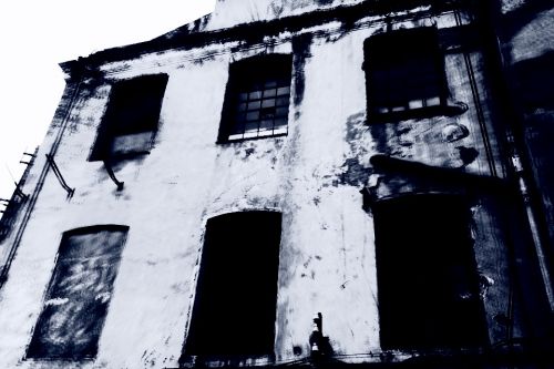 Fotografia de darkzone - Galeria Fotografica: retratos de msicos - Foto: 