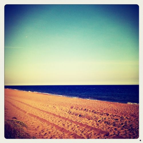 Fotografia de darkzone - Galeria Fotografica: retratos de msicos - Foto: 