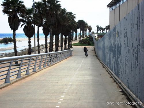 Fotografia de  Aina Riera Fotografa - Galeria Fotografica: I want to ride ma bicycle - Foto: 