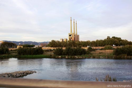 Fotografia de  Aina Riera Fotografa - Galeria Fotografica: I want to ride ma bicycle - Foto: 