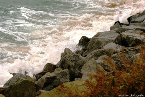 Fotografia de  Aina Riera Fotografa - Galeria Fotografica: Badalona es de Mar - Foto: 