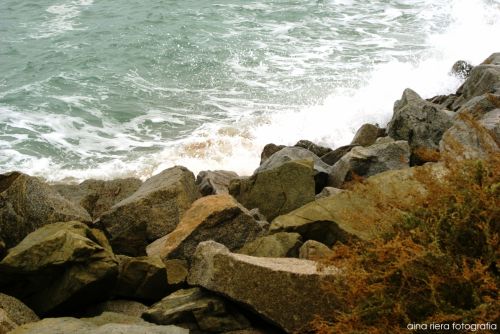 Fotografia de  Aina Riera Fotografa - Galeria Fotografica: Badalona es de Mar - Foto: 