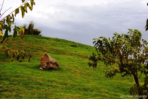 Fotografia de  Aina Riera Fotografa - Galeria Fotografica: Badalona es de Mar - Foto: 